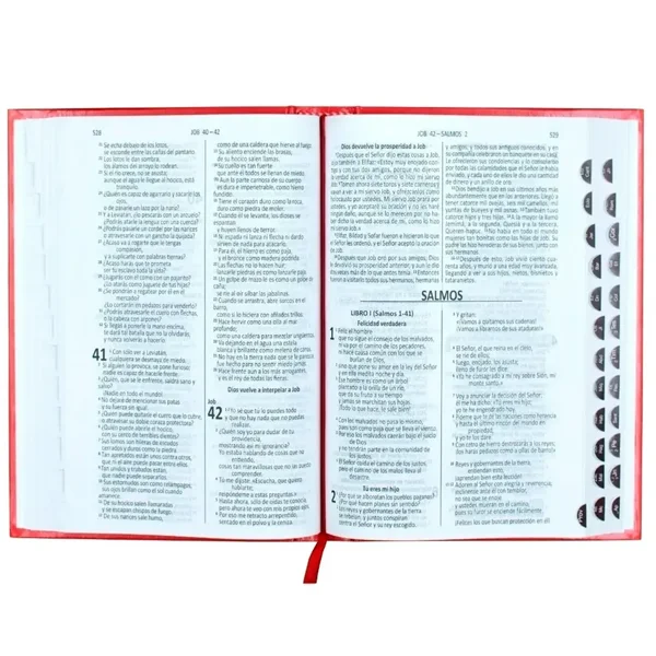 Sagrada Biblia Dios Habla Hoy Tapa Dura Roja - Imagen 3
