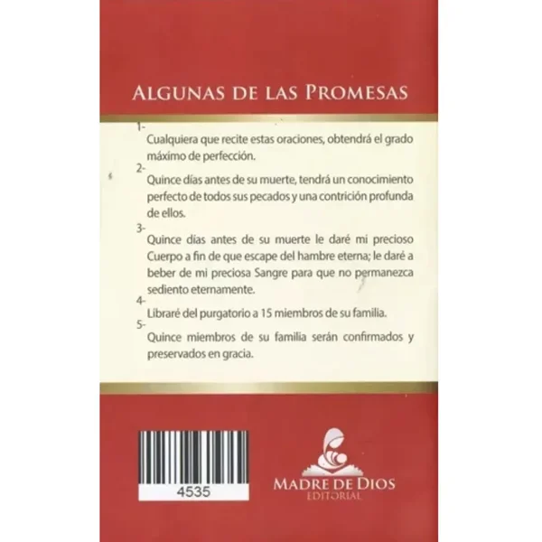 Oraciones de Santa Brígida por un Año - Imagen 2